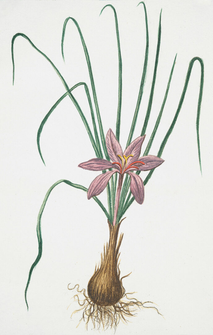 the-new-york-public-library-NPS5Lf2ec_0-unsplash-2