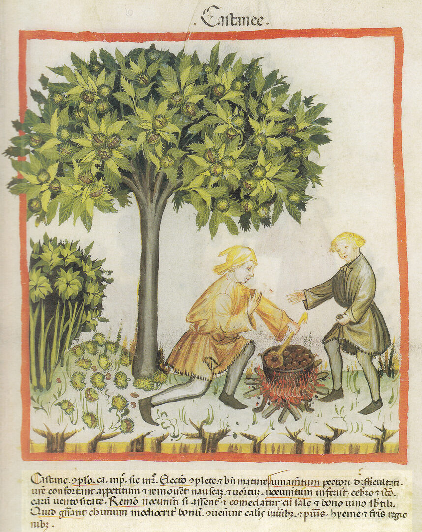 Culinarium-Alpinum_Fokusthema_Kastanien_0-10